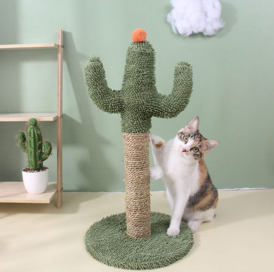Sisal Cactus Cat Scratching Post - Fun Climbing Toy