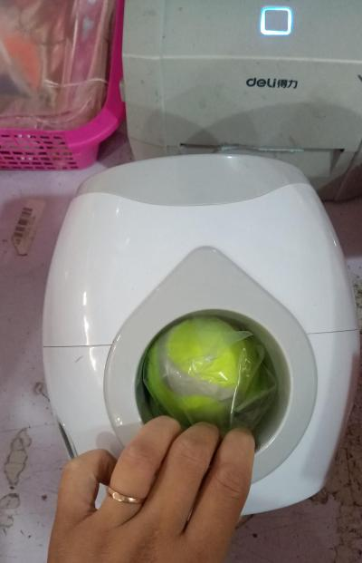 Automatic Ball Launcher - Interactive Pet Toy